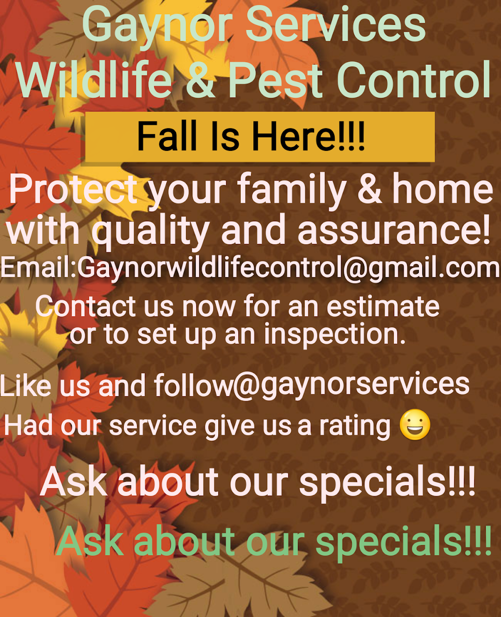 Gaynor Services pest and wildlife control | 46823 Flower Dr, Lexington Park, MD 20653, USA | Phone: (240) 237-2901
