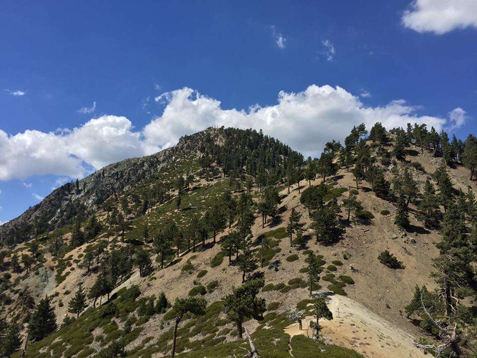 Japanese Saddle | Ice House Canyon Trail, Mt Baldy, CA 91759