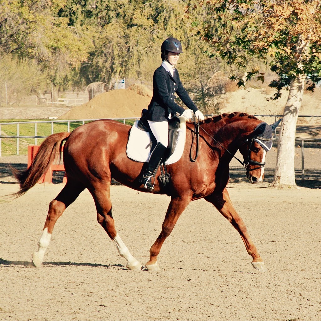 Creekside Equestrian Center | 10255 Sprig Ave, Yucaipa, CA 92399, USA | Phone: (909) 801-9685