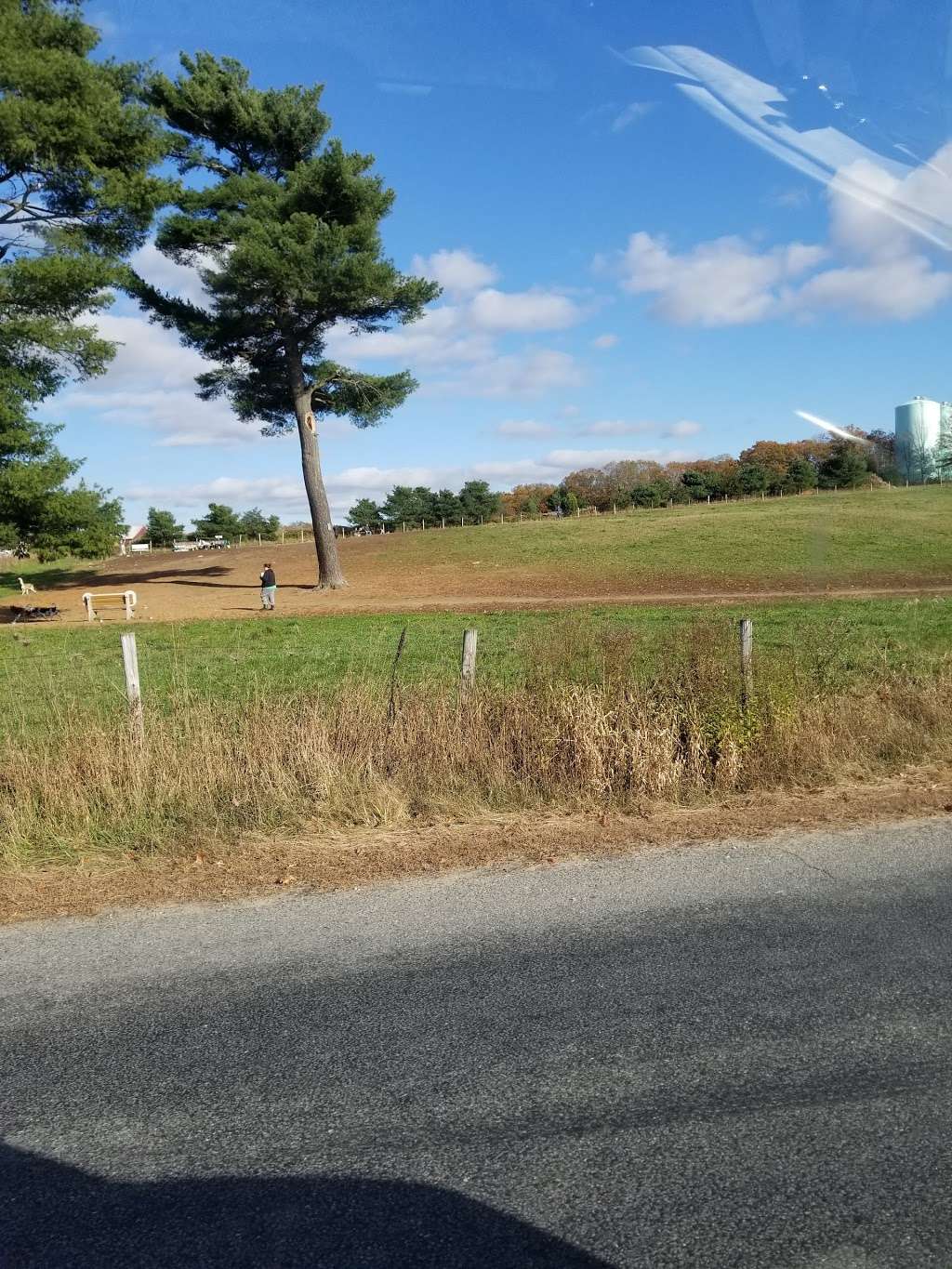 Wrentham Dog Park | Wrentham, MA 02093, USA