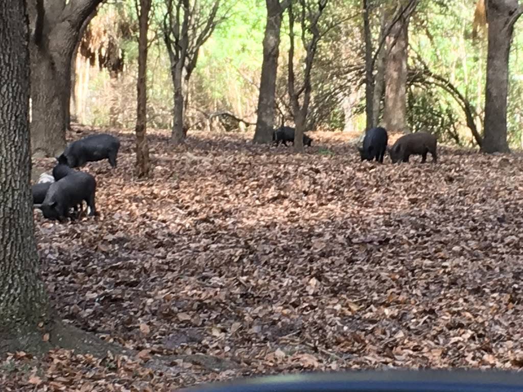 McKay Bay Nature Park | 134 N 34th St, Tampa, FL 33605, USA | Phone: (813) 274-5188