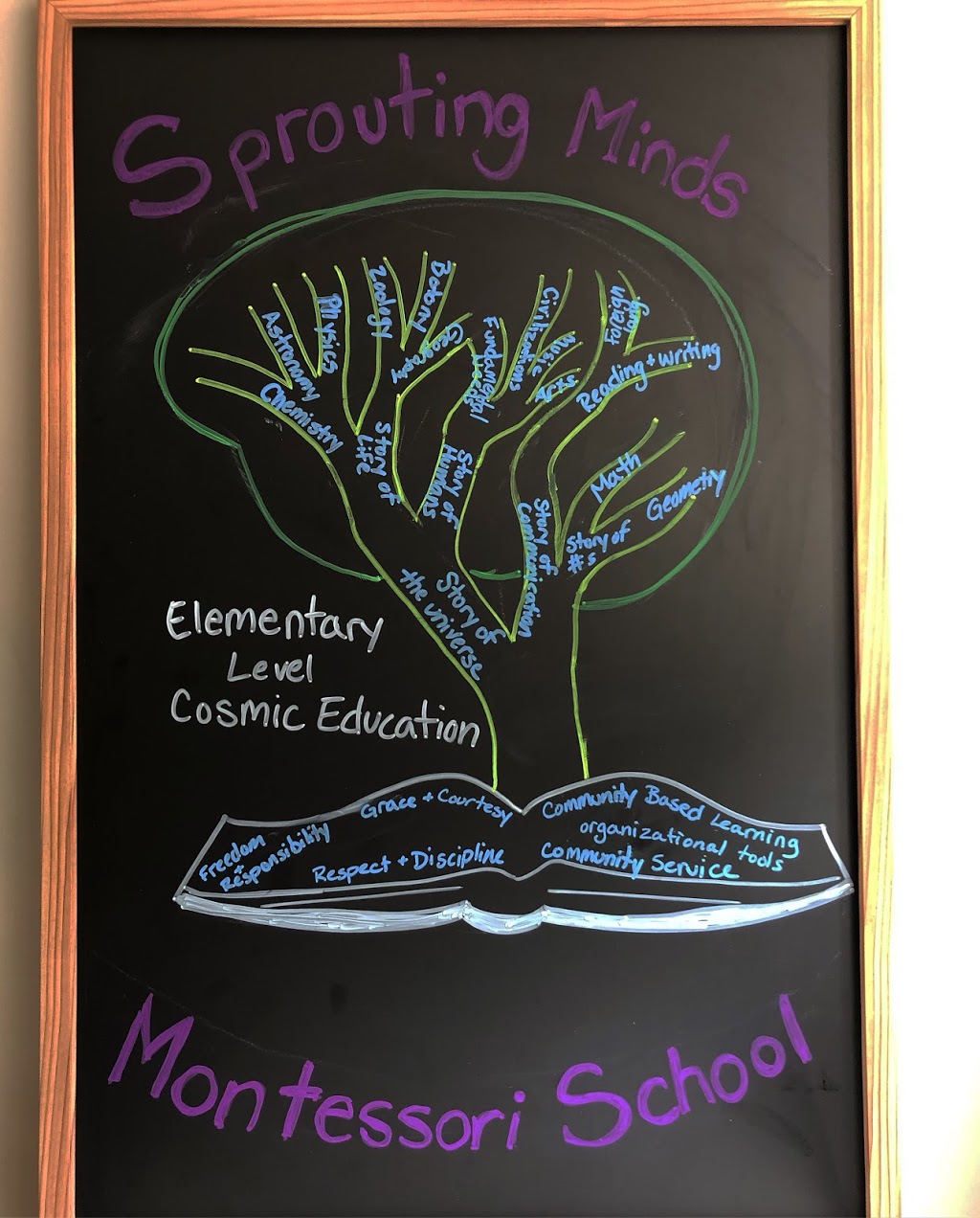 Sprouting Minds Montessori School | 1276 Mill Rd, East Aurora, NY 14052, USA | Phone: (716) 714-9526