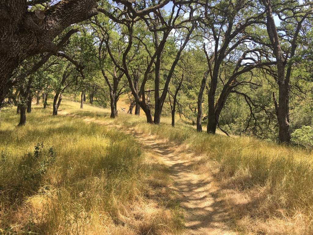 Almaden Quicksilver County Park, Webb Canyon Trailhead | 7144 Webb Canyon Dr, San Jose, CA 95120, USA