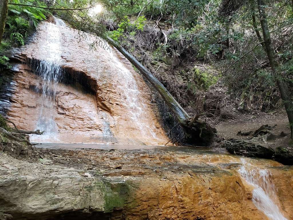 Golden Falls | Davenport, CA 95017, USA