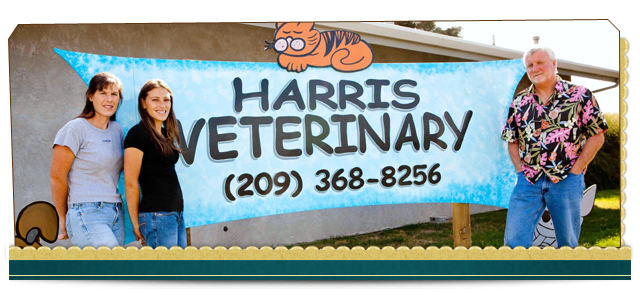 Harris Veterinary Hospital | 17112 CA-88, Lodi, CA 95240, USA | Phone: (209) 368-8256