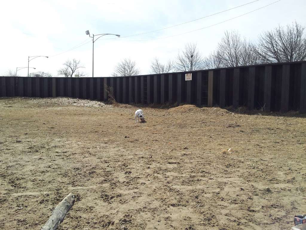 Mondo Dog Beach | Chicago, IL 60613, USA