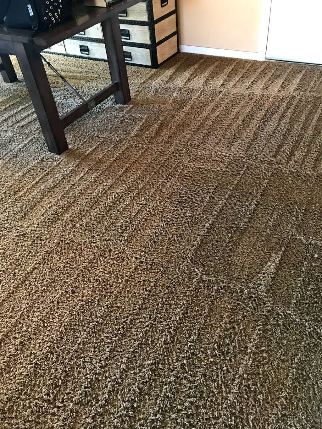 All Pro Carpet Steamers - Las Vegas | 7527 Slipper, Orchid Dr, Las Vegas, NV 89148 | Phone: (702) 800-9616