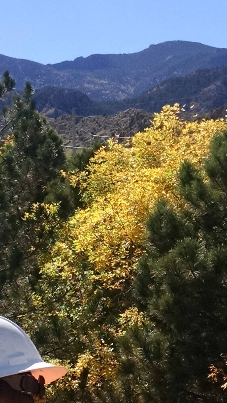 Kingdom Hall of Jehovahs Witnesses | 2609 Bott Ave, Colorado Springs, CO 80904, USA | Phone: (719) 634-8977 Kingdom Hall of Jehovahs Witnesses | 2609 Bott Ave, Colorado Springs, CO 80904, USA | Phone: (719) 634-8977