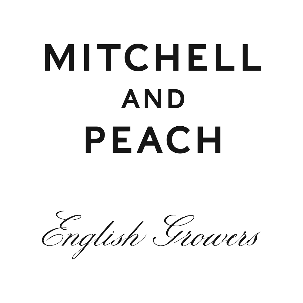 Mitchell and Peach | Foxbury Farm, Stone Street, Seal, Sevenoaks TN15 0LW, UK | Phone: 01732 810614