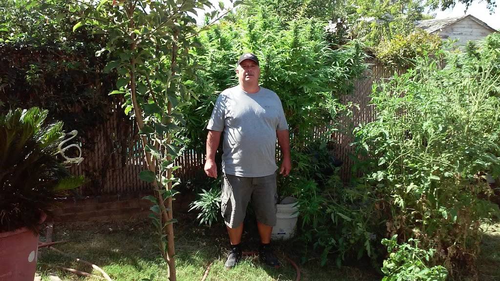 Mark L Emerson | 54 51st St, Sacramento, CA 95819, USA | Phone: (916) 457-6700