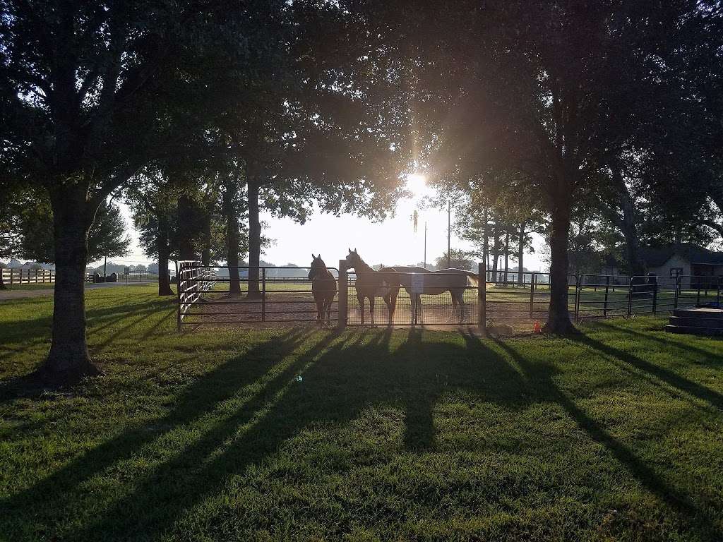 Reining Strength Therapeutic Horsemanship | 7126 Farm to Market 359, Richmond, TX 77406, USA | Phone: (832) 451-6874