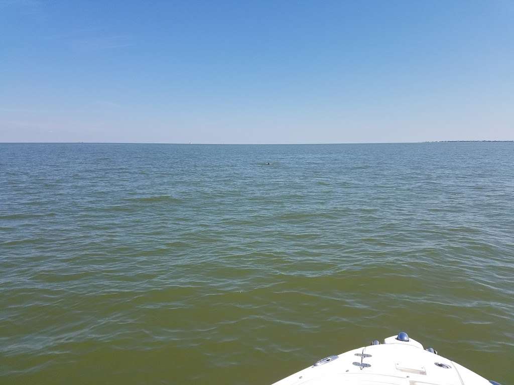 Red Fish Island | Bay, Galveston, TX, USA