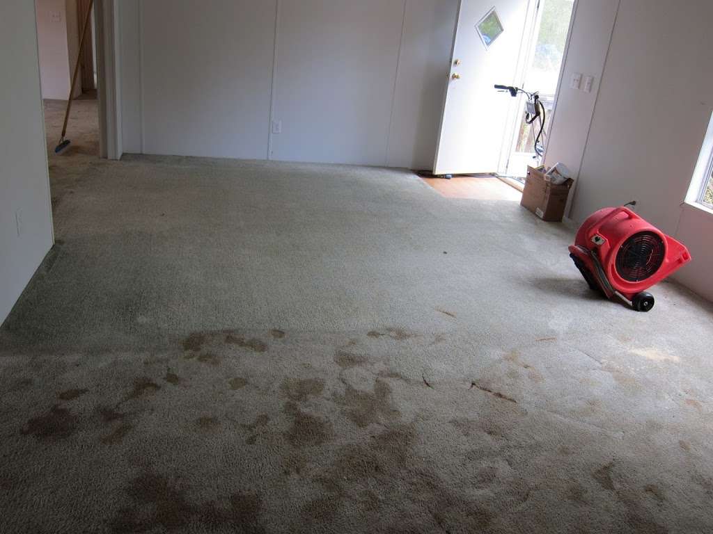 Renu Carpet & Tile Cleaning | 3995 SE 140th Ln, Summerfield, FL 34491, USA | Phone: (352) 216-9636