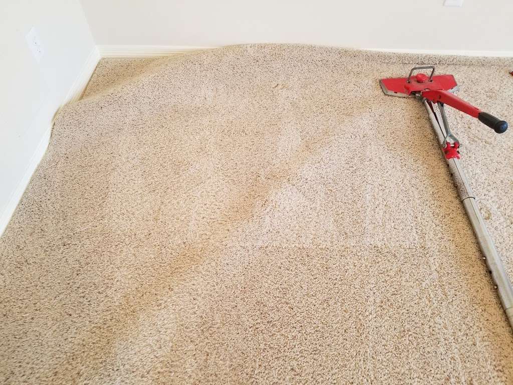 Pristine Carpet Cleaning of Houston | 19438 Camellia Knoll Trail, Houston, TX 77084, USA | Phone: (281) 204-3047