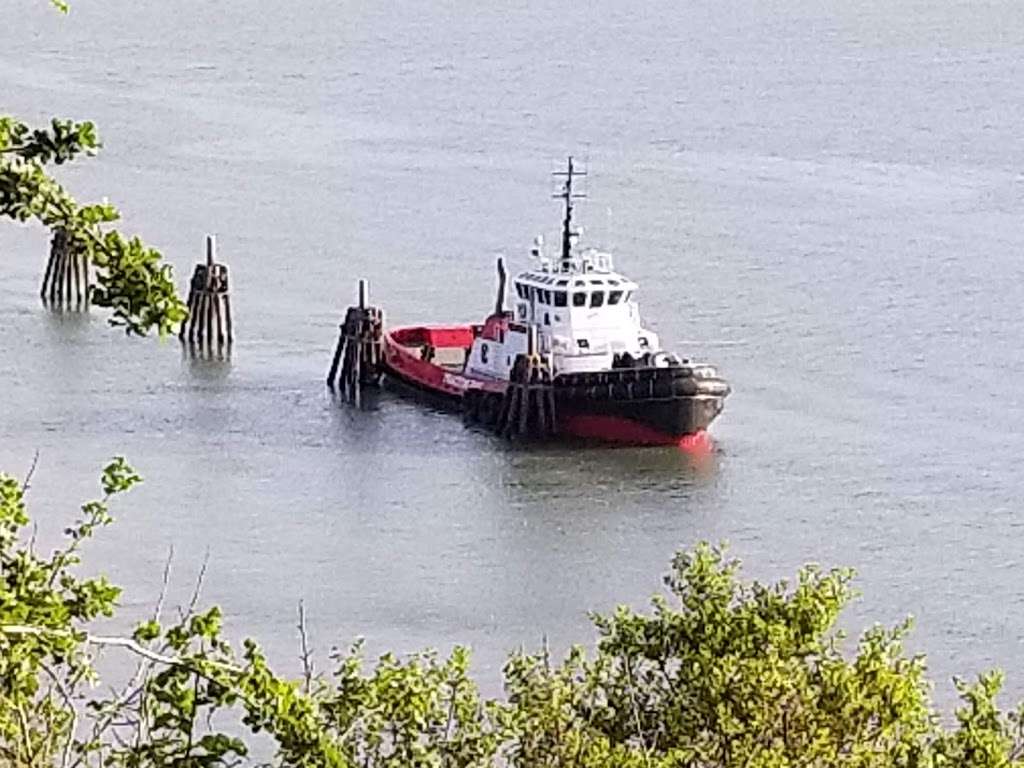 Carquinez Strait Regional Shoreline | Carquinez Scenic Dr, Martinez, CA 94553, USA | Phone: (888) 327-2757