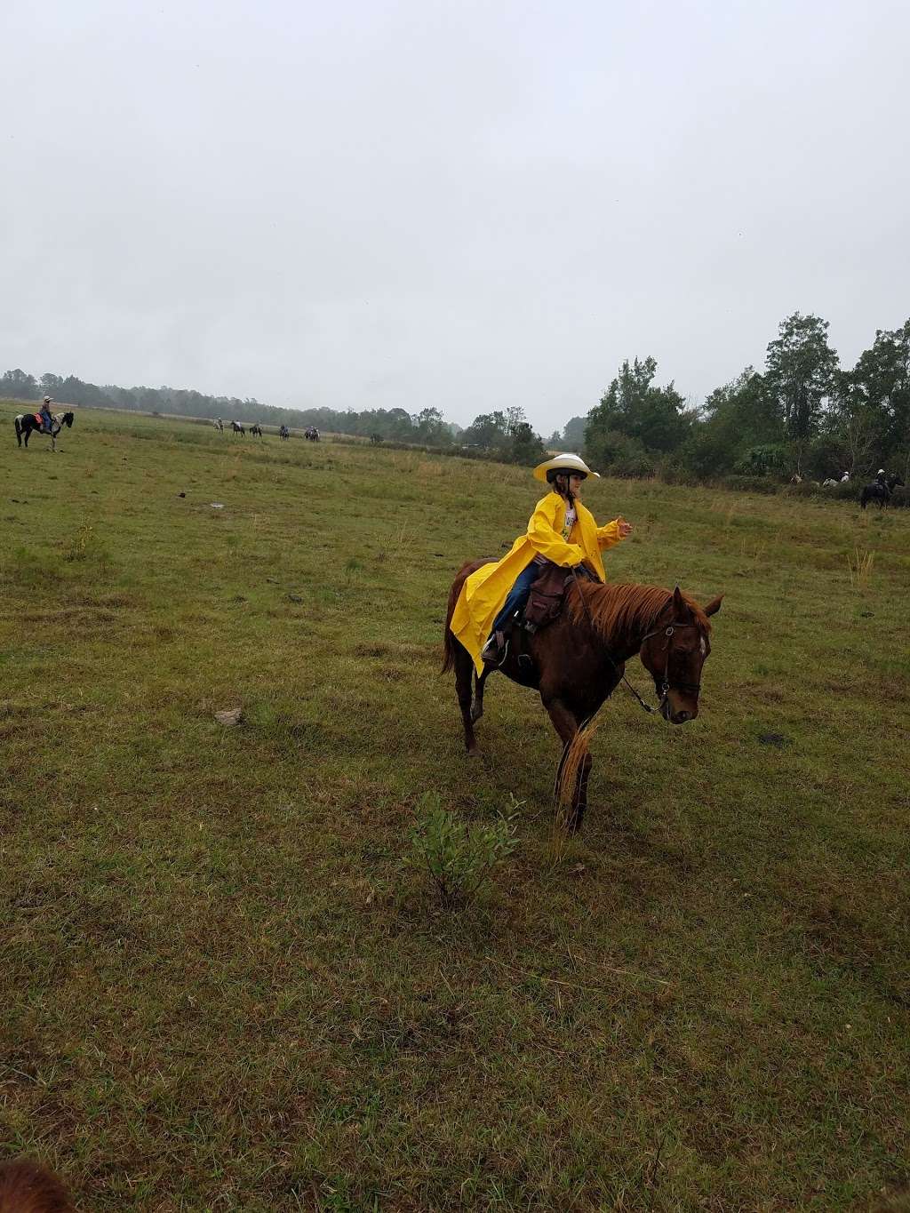 Wagon Train Trail Ride | 7001-, 7199 Old Melbourne Hwy, St Cloud, FL 34771