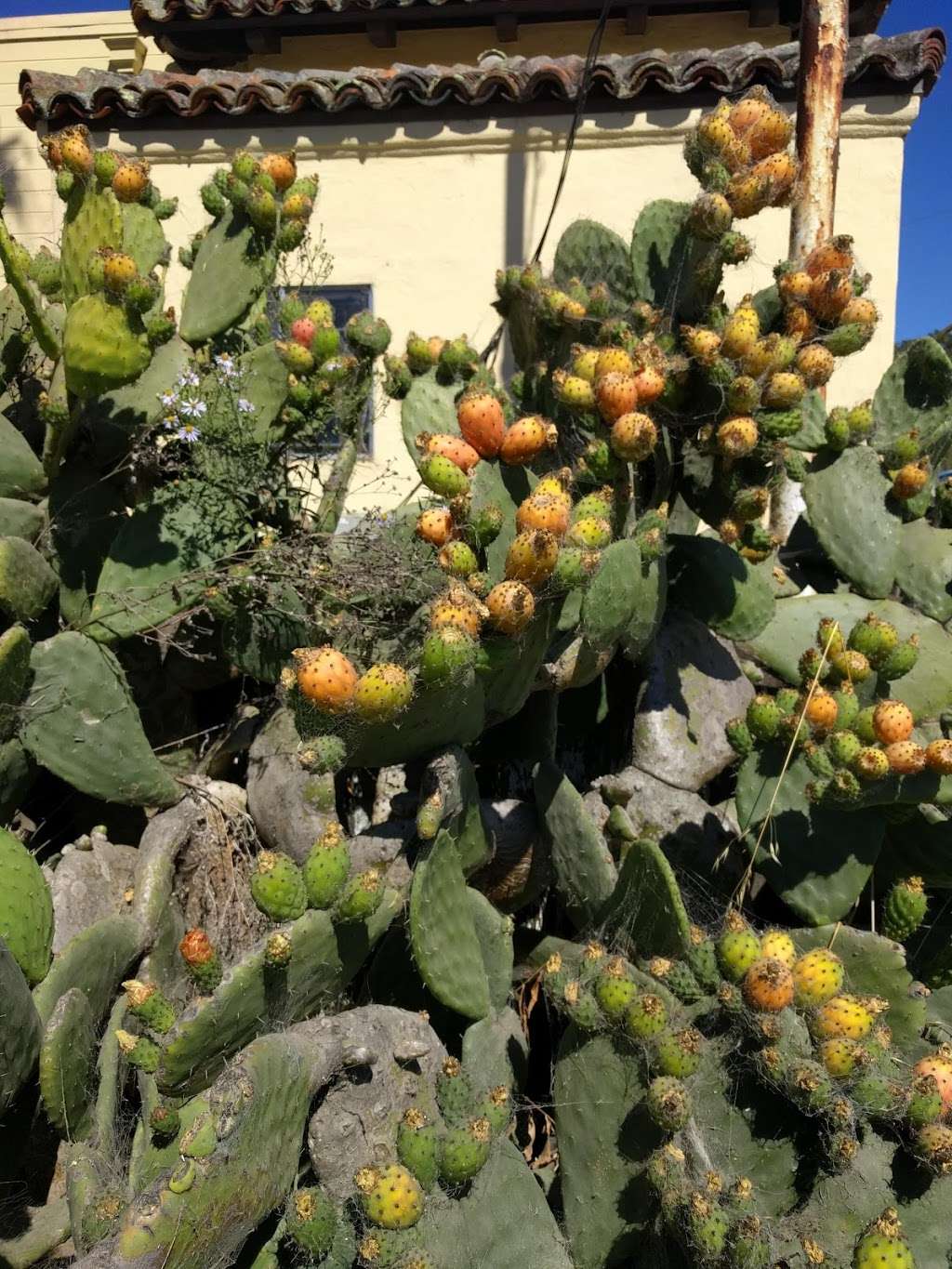 San Gregorio General Store | 7615 Stage Rd, San Gregorio, CA 94074, USA | Phone: (650) 726-0565