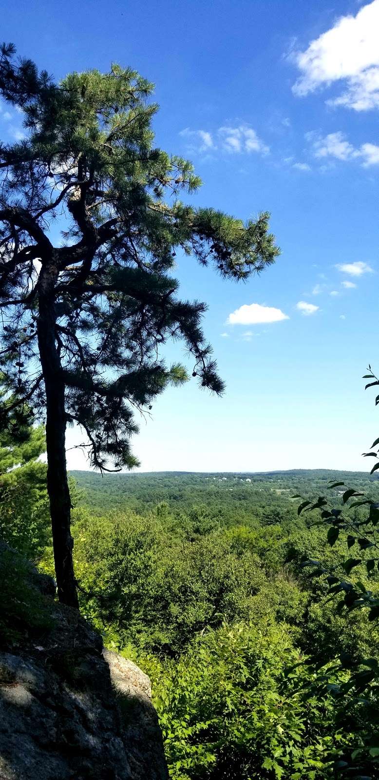 Oak Hill Reservation Lookout Rock Trailhead | 1-27 Oak Hill Rd, Littleton, MA 01460, USA