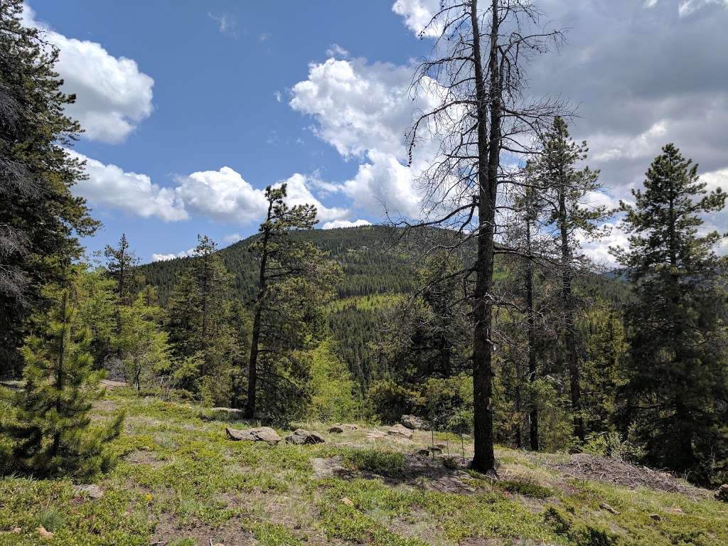 Maxwell Falls Lower Trail | 7627 S Brook Forest Rd, Evergreen, CO 80439, USA | Phone: (970) 295-6600