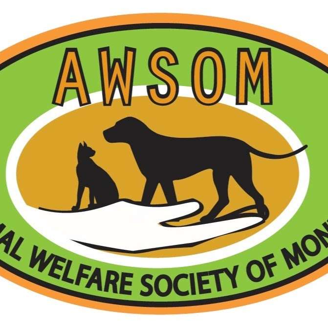 AWSOM Wellness Center | 3129 Godfrey Ridge Dr, Stroudsburg, PA 18360, USA | Phone: (570) 424-1060