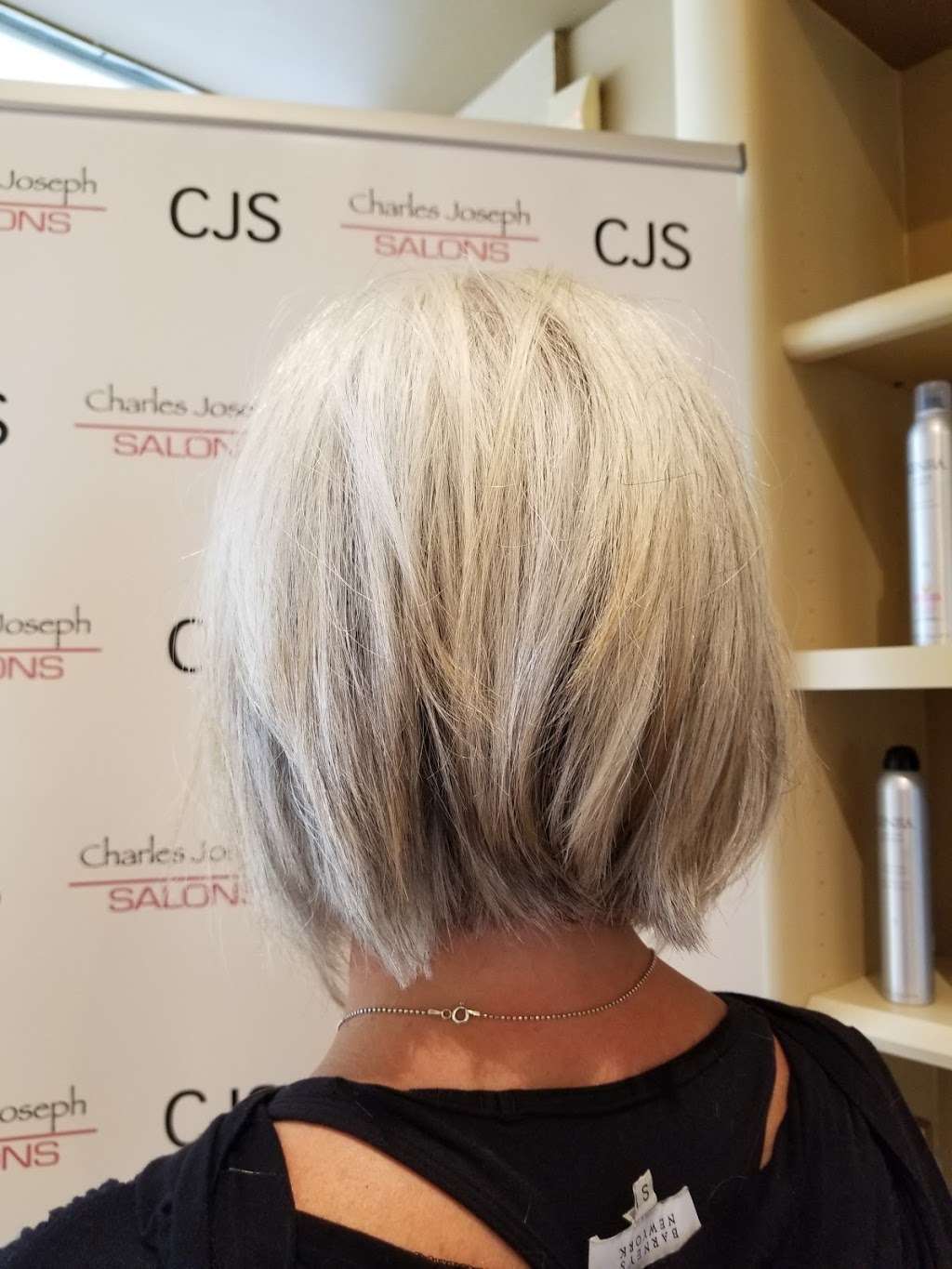 Charles Joseph Salons | 936 High St, Westwood, MA 02090 | Phone: (781) 326-8381