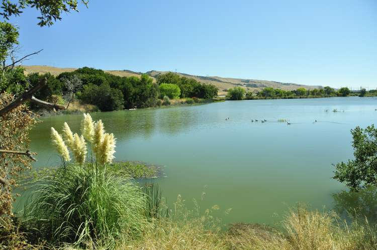 Coyote Creek Lake Parking | 67802026, San Jose, CA 95138