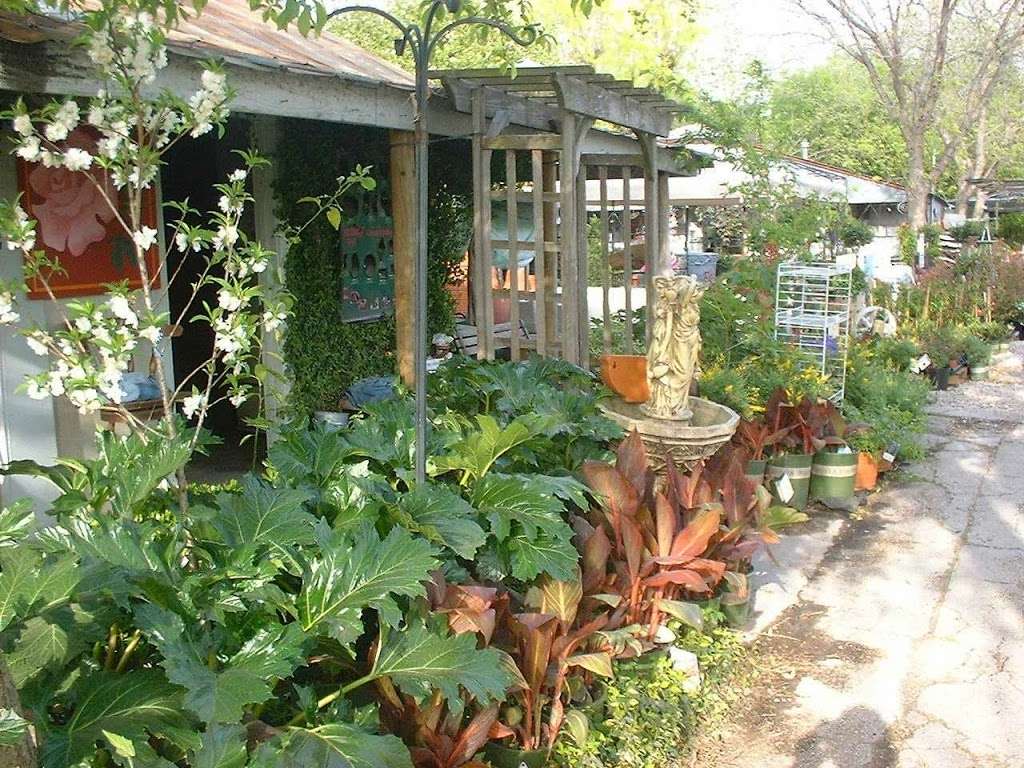 Fanicks Garden Center | 1025 Holmgreen Rd, San Antonio, TX 78220 | Phone: (210) 648-1303