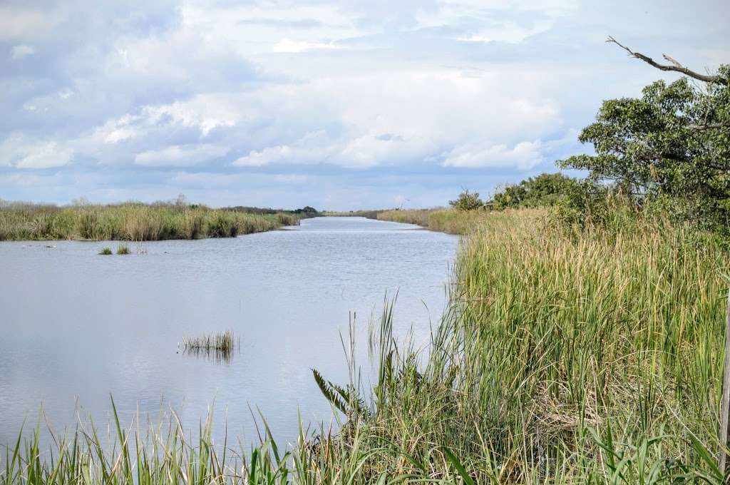 Loxahatchee Everglades Airboat Tours and Rides | 15490 Loxahatchee Rd, Parkland, FL 33076 | Phone: (561) 901-0661