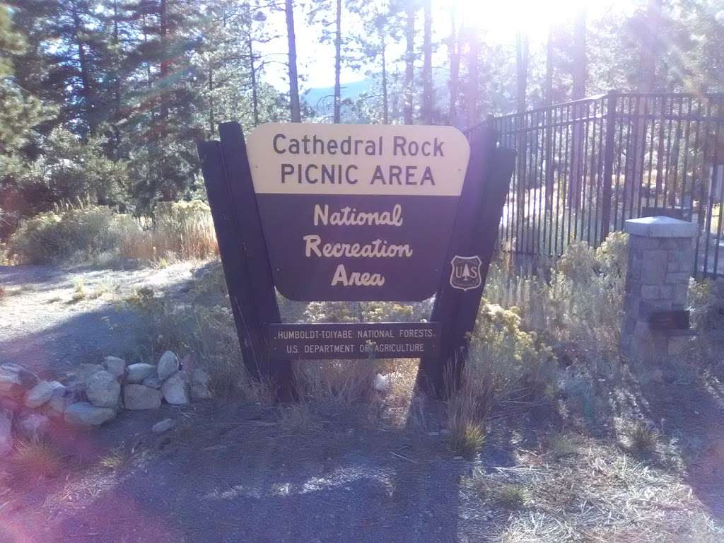 CATHEDRAL ROCK PICNIC AREA | Toiyabe, Coleville, NV 96107, USA | Phone: (801) 226-3564