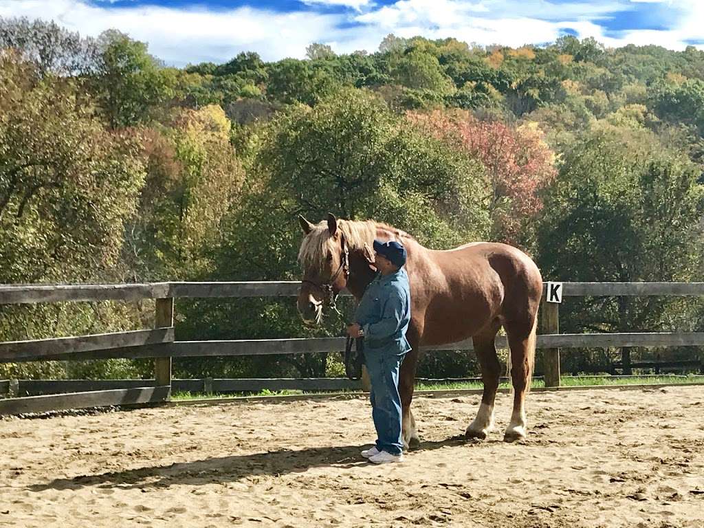 Endeavor Therapeutic Horsemanship, Inc. | 1 Succabone Rd, Mt Kisco, NY 10549, USA | Phone: (914) 241-0211