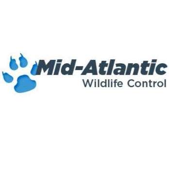 Mid-Atlantic Wildlife Control | 2502 Hanson Rd, Edgewood, MD 21040, USA | Phone: (443) 417-3137