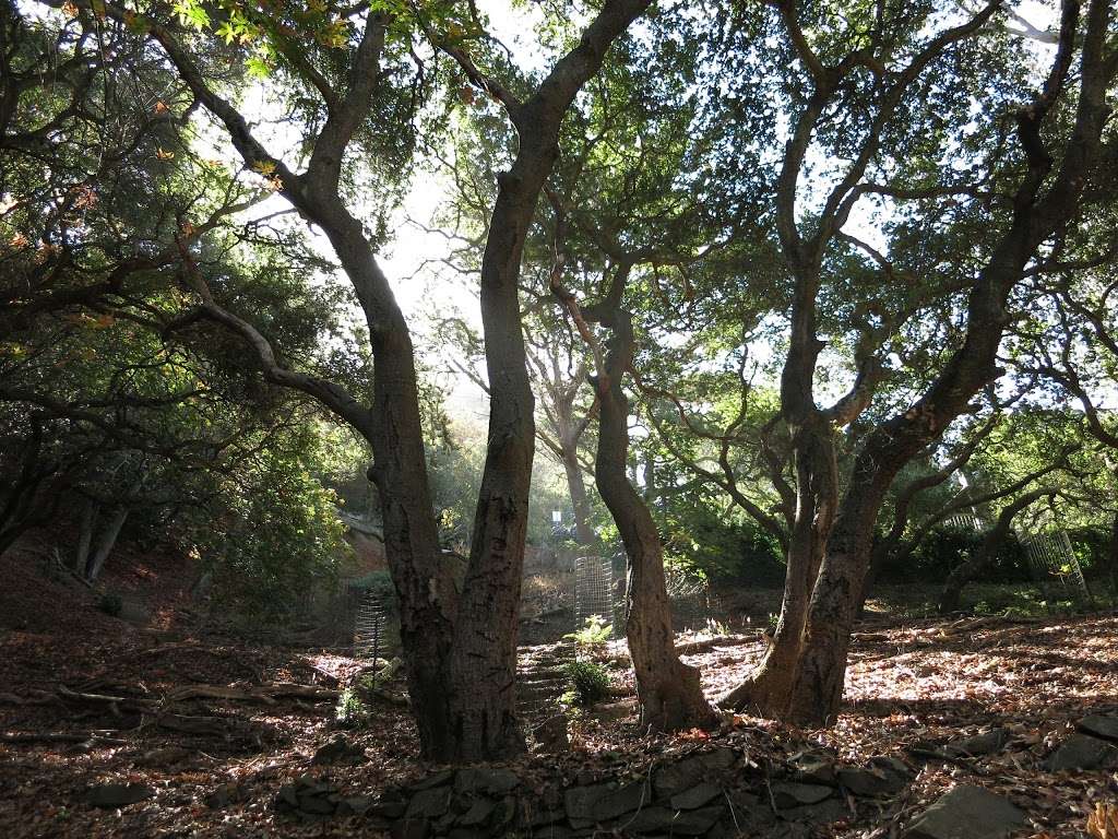 Garber Park | Berkeley, CA 94705, USA