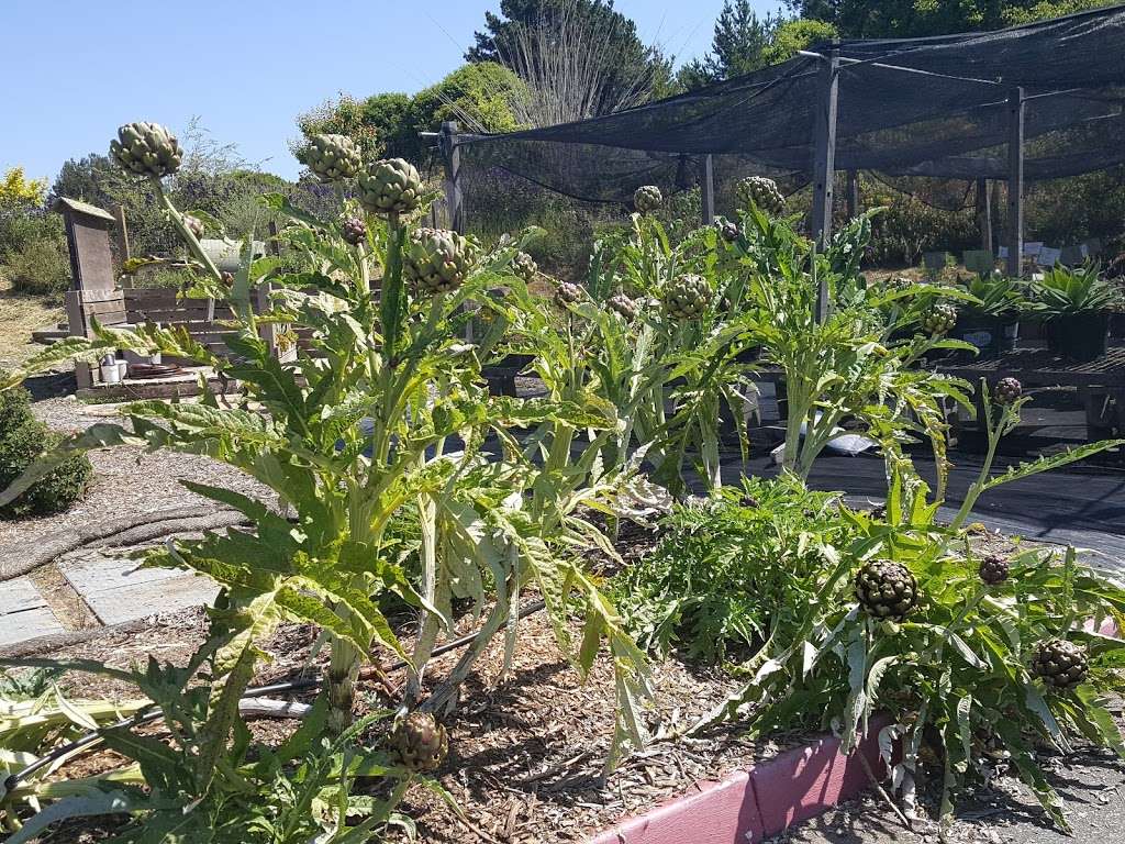 Cabrillo Horticulture | Sanders Ave, Aptos, CA 95003, USA