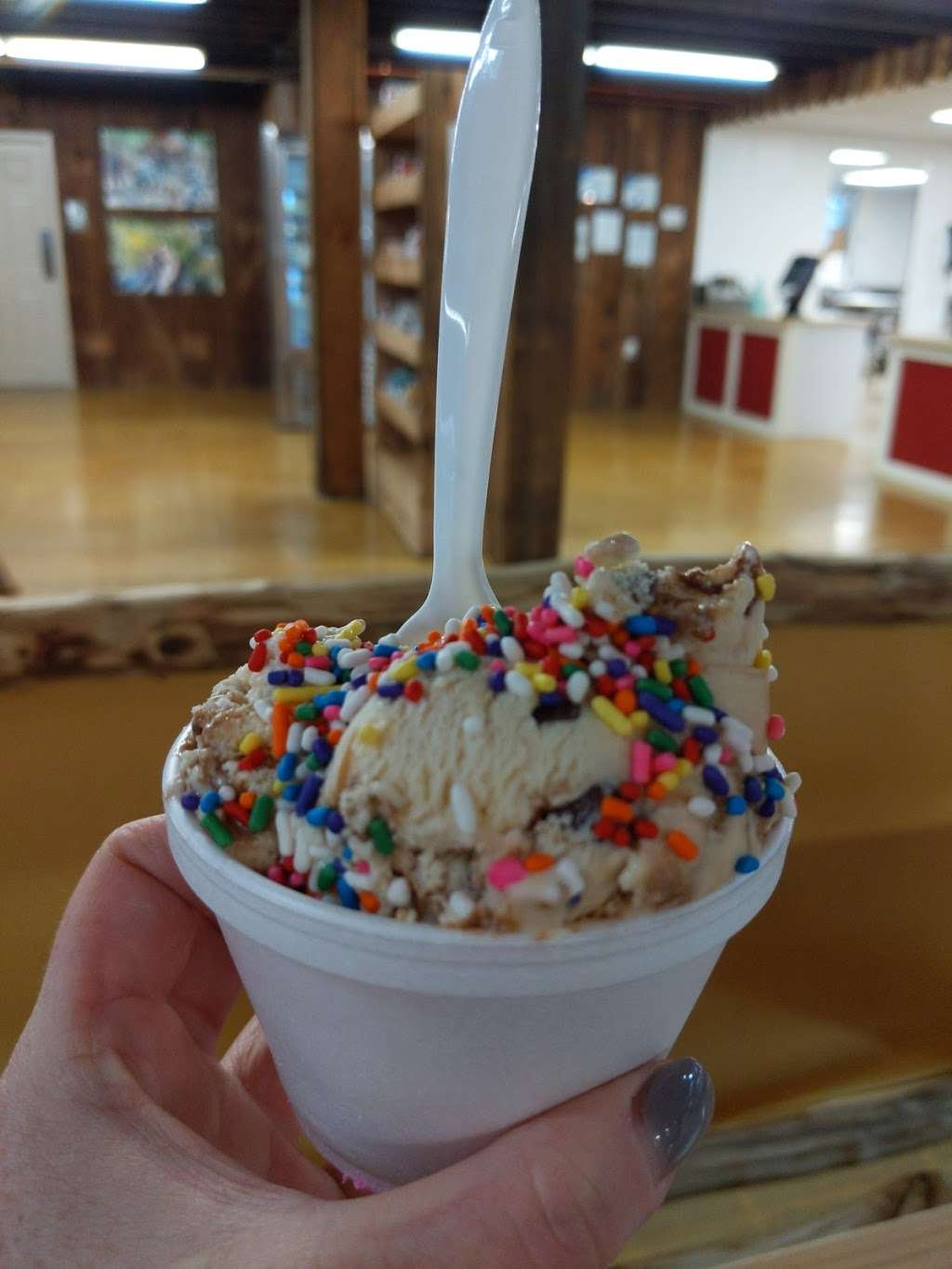 Hayloft Ice Cream | 95 S Groffdale Rd, Leola, PA 17540, USA | Phone: (717) 556-8236