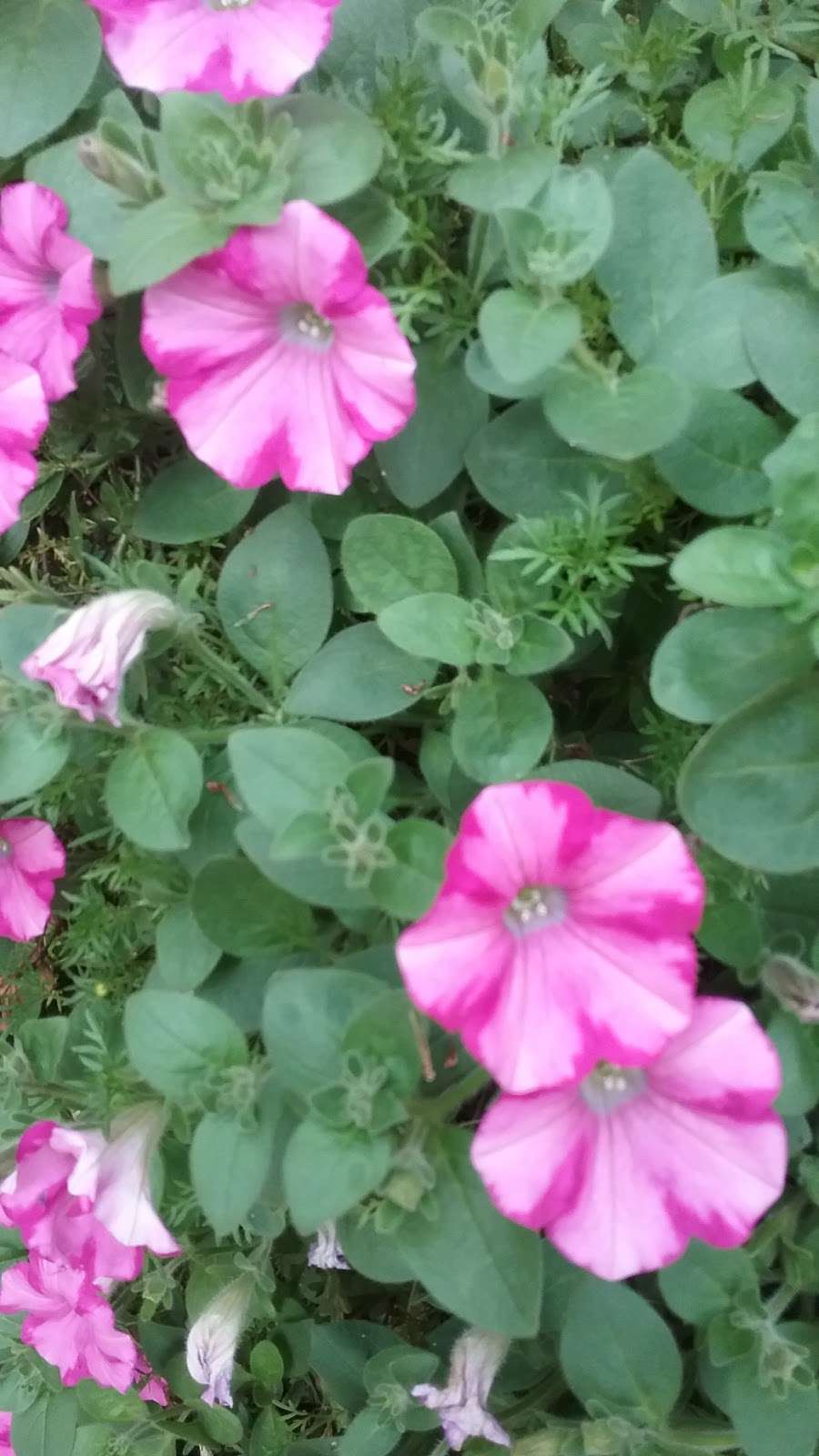 Books & Beyond Online | 6 Blakeslee Dr, Newtown, CT 06470, USA | Phone: (203) 364-1679 Books & Beyond Online | 6 Blakeslee Dr, Newtown, CT 06470, USA | Phone: (203) 364-1679