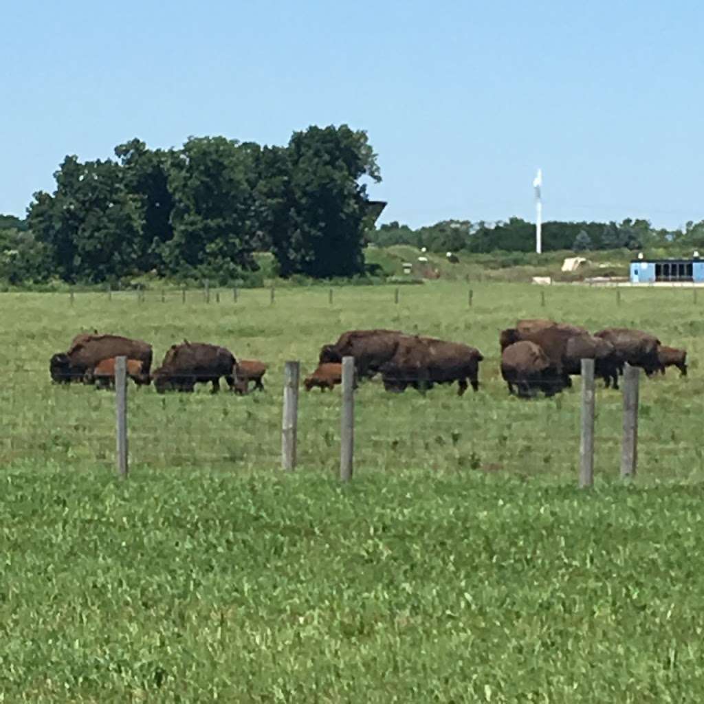 Bison Barn | Pine St, Batavia, IL 60510, USA