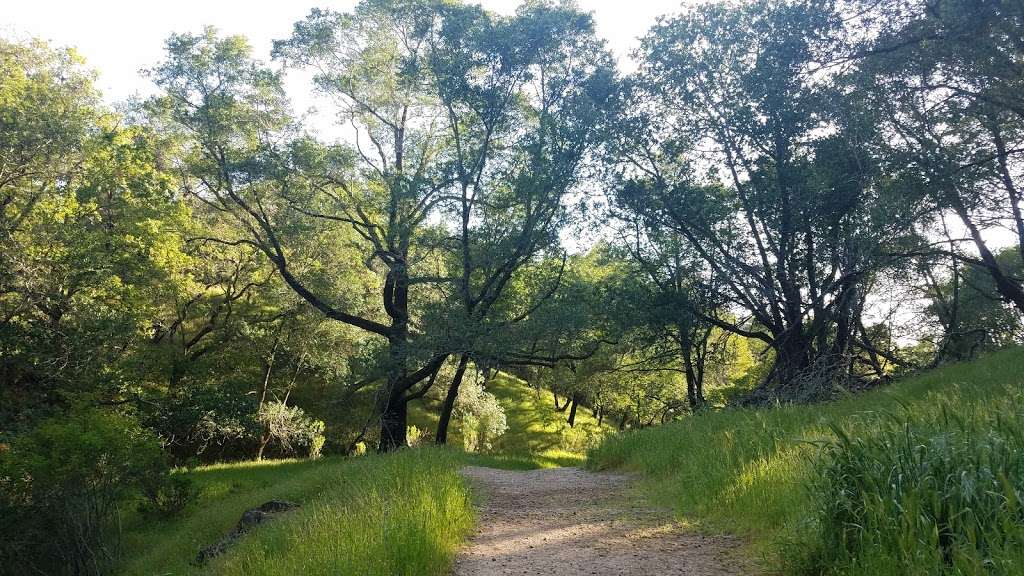 Horne Trail | Blackstone Dr, San Rafael, CA 94903