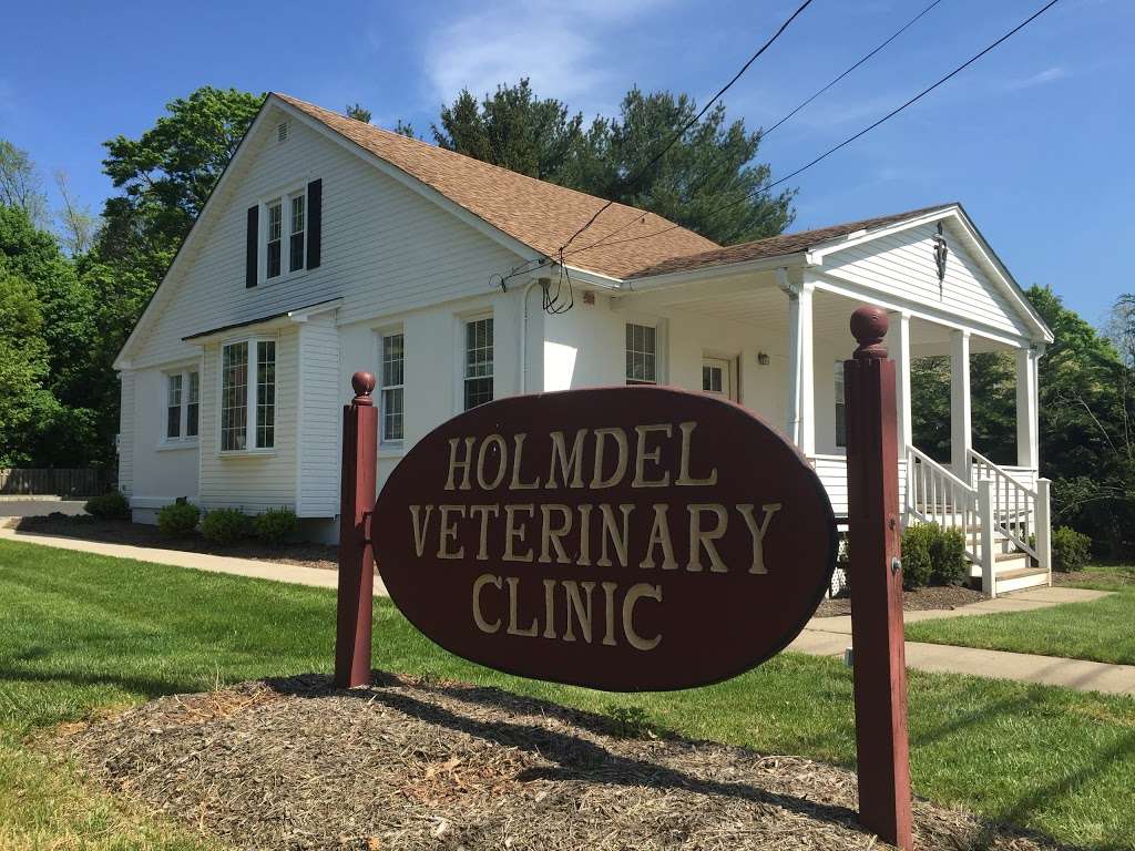 Holmdel Veterinary Clinic | 959 Holmdel Rd, Holmdel, NJ 07733, USA | Phone: (732) 946-7163