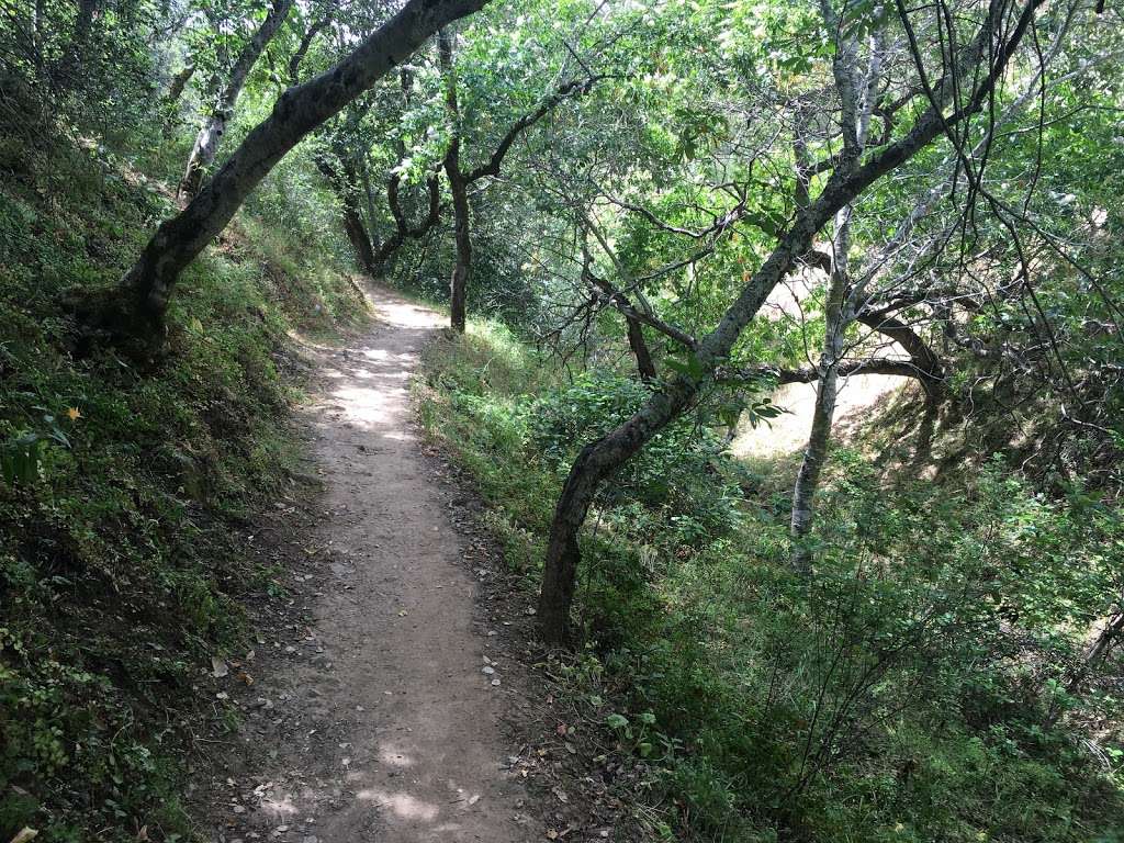 Almaden Quicksilver County Park | New Almaden Trail, San Jose, CA 95120, USA | Phone: (408) 535-4070