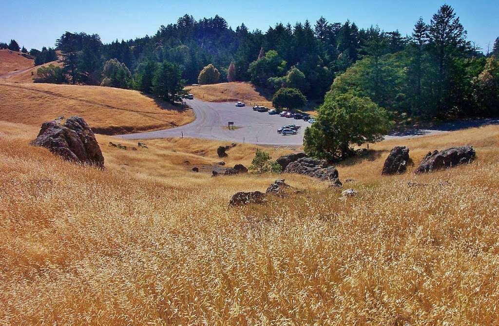 Rock Spring Trailhead | W Ridgecrest Blvd, Stinson Beach, CA 94970, USA