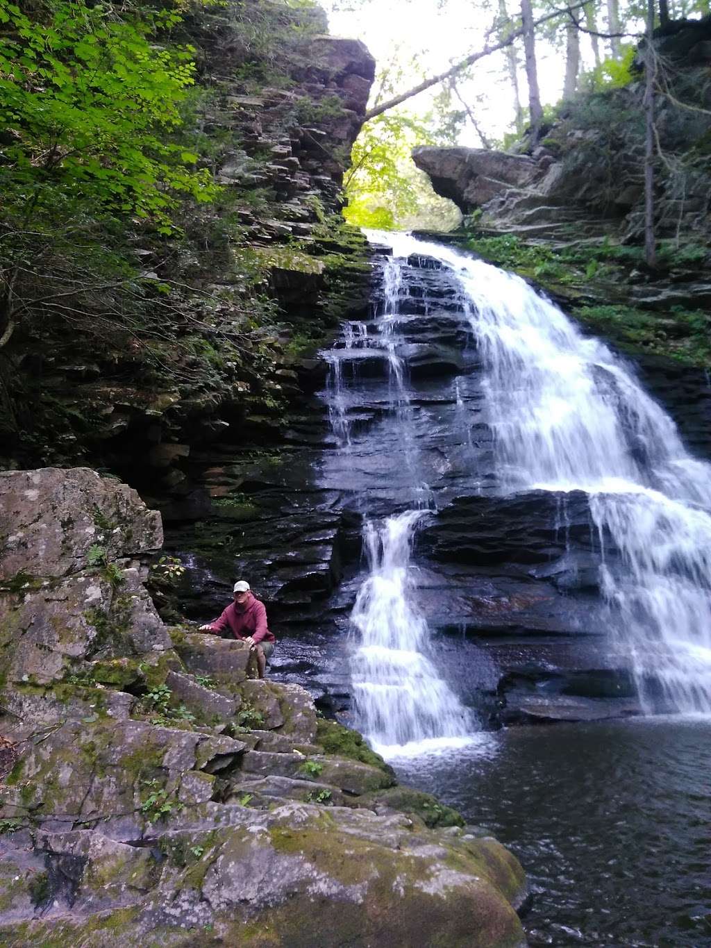 state game lands 260 parking | 1286 Shickshinny Valley Rd, Shickshinny, PA 18655, USA