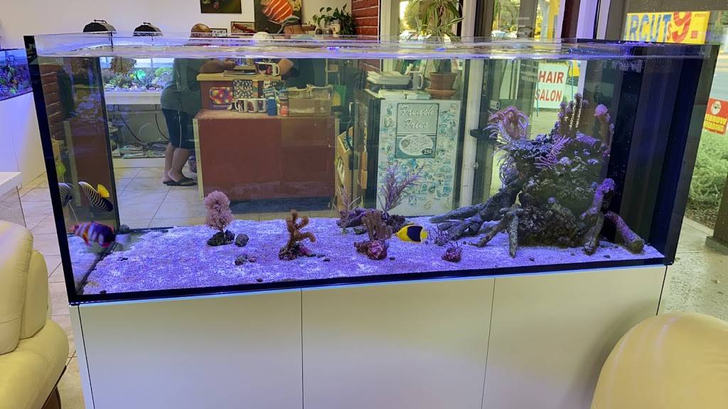 Amazing Aquariums & Reefs | 646 E Katella Ave, Orange, CA 92867, USA | Phone: (714) 928-5299