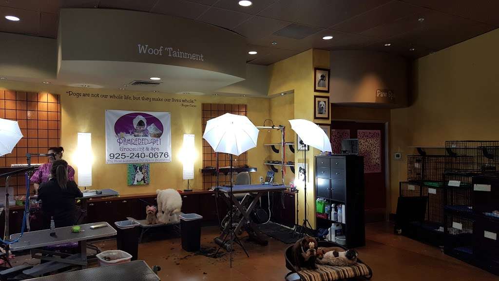 Groomers Lounge & More | 7720 Brentwood Blvd, Brentwood, CA 94513, USA | Phone: (925) 240-0676