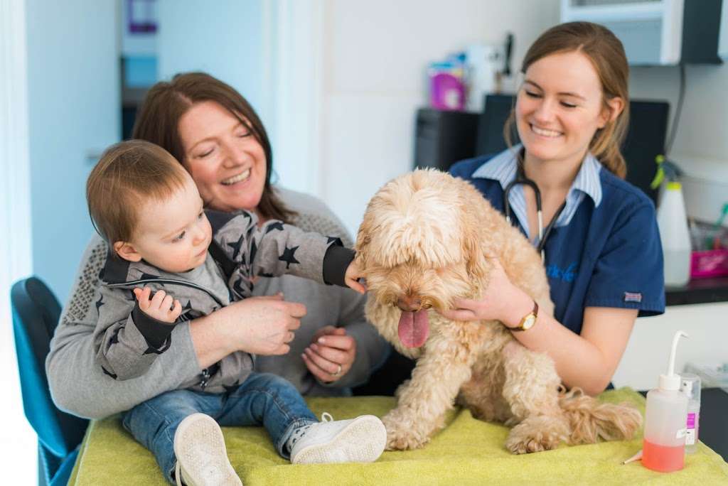 Parkvets Hayes | 44 Hayes St, Bromley BR2 7LD, UK | Phone: 020 8619 0499