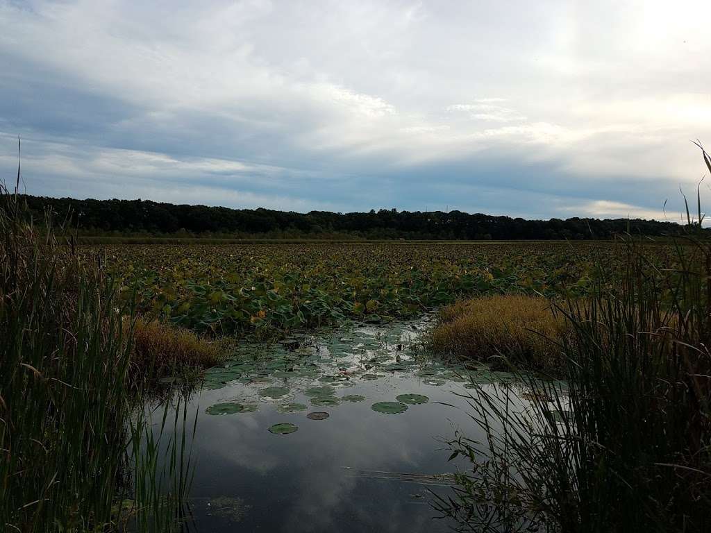 Great Meadows National Wildlife Refuge Concord Unit | Monsen Rd, Concord, MA 01742, USA | Phone: (978) 443-4661