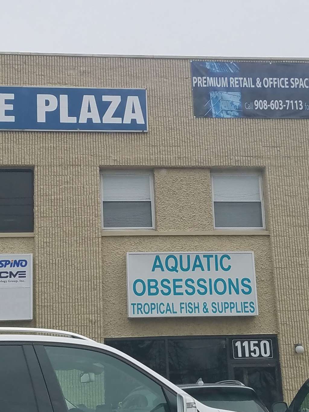 Aquatic Obsessions | 1150 St George Ave, Avenel, NJ 07001, USA | Phone: (732) 634-8448