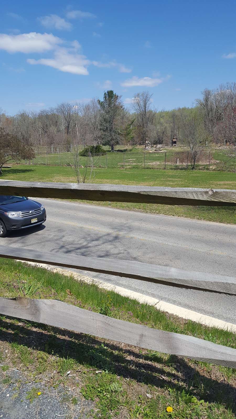 Cohanzick Zoo | 45 Mayor Aitken Dr, Bridgeton, NJ 08302, USA | Phone: (856) 453-1658