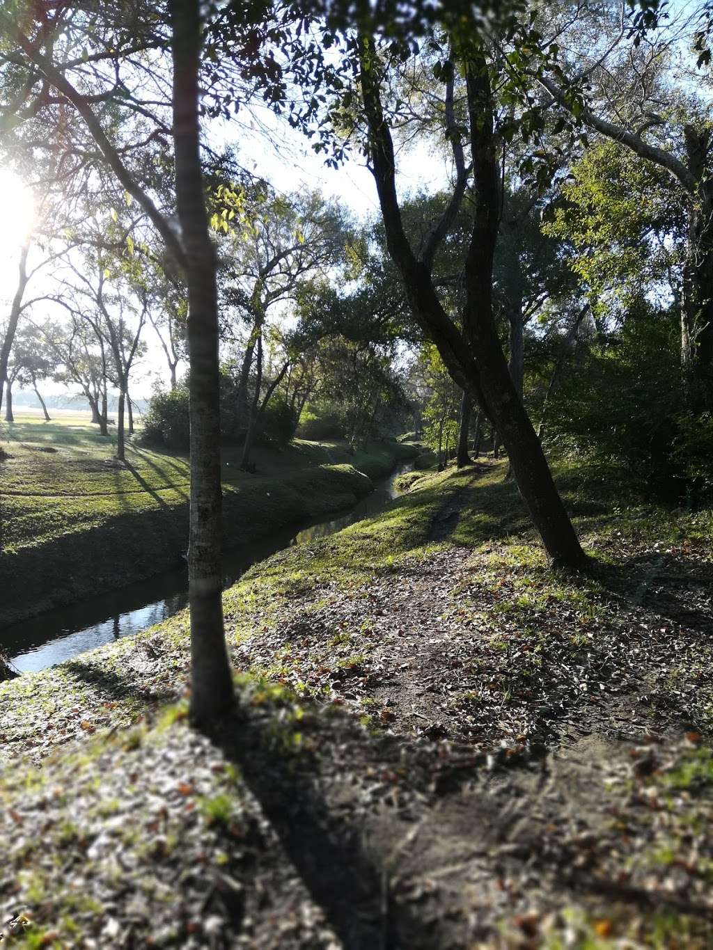 Armadillo Mtb Trails | Pasadena, TX, USA