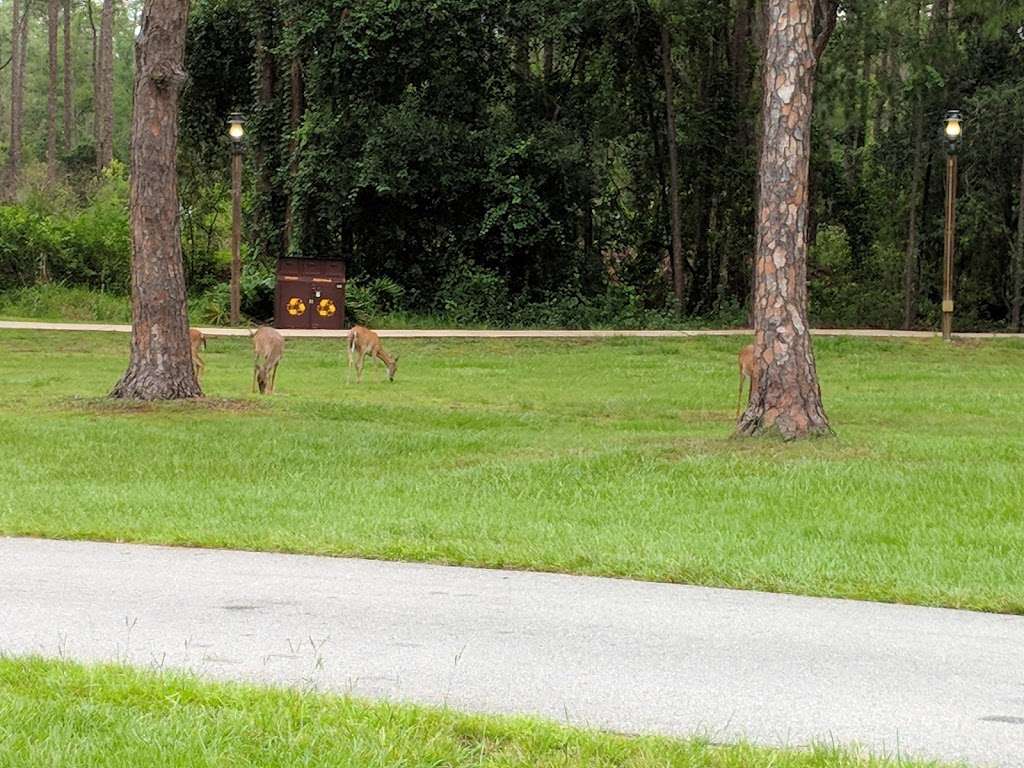 Disneys Fort Wilderness Resort & Campground | 4510 Fort Wilderness Trail, Orlando, FL 32836, USA | Phone: (407) 824-2900