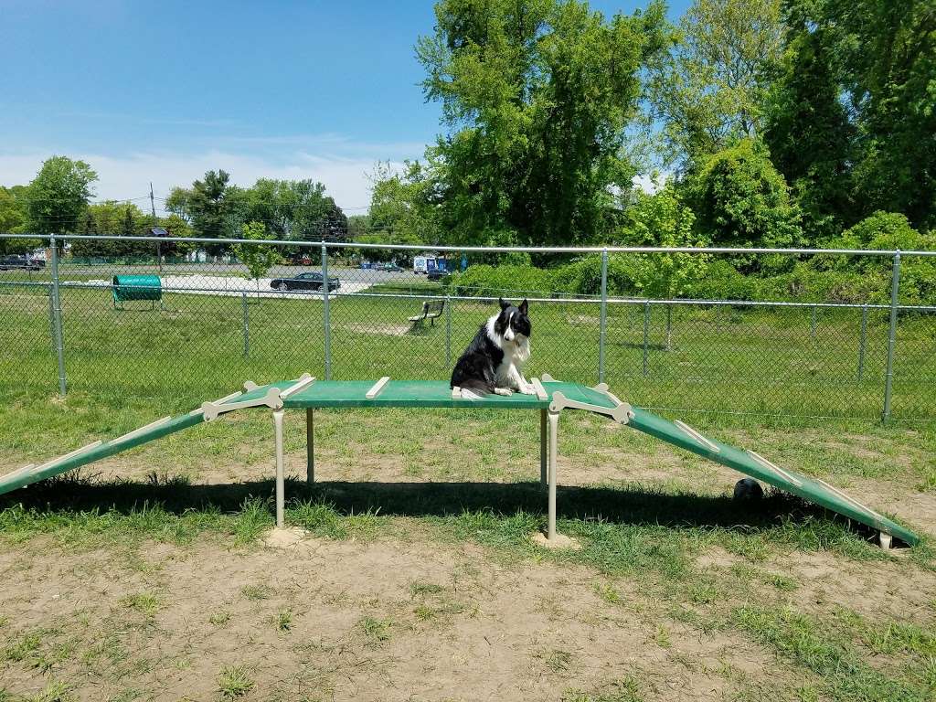 Deptford Doggie Park | 505 Deptford Ave, Westville, NJ 08093, USA